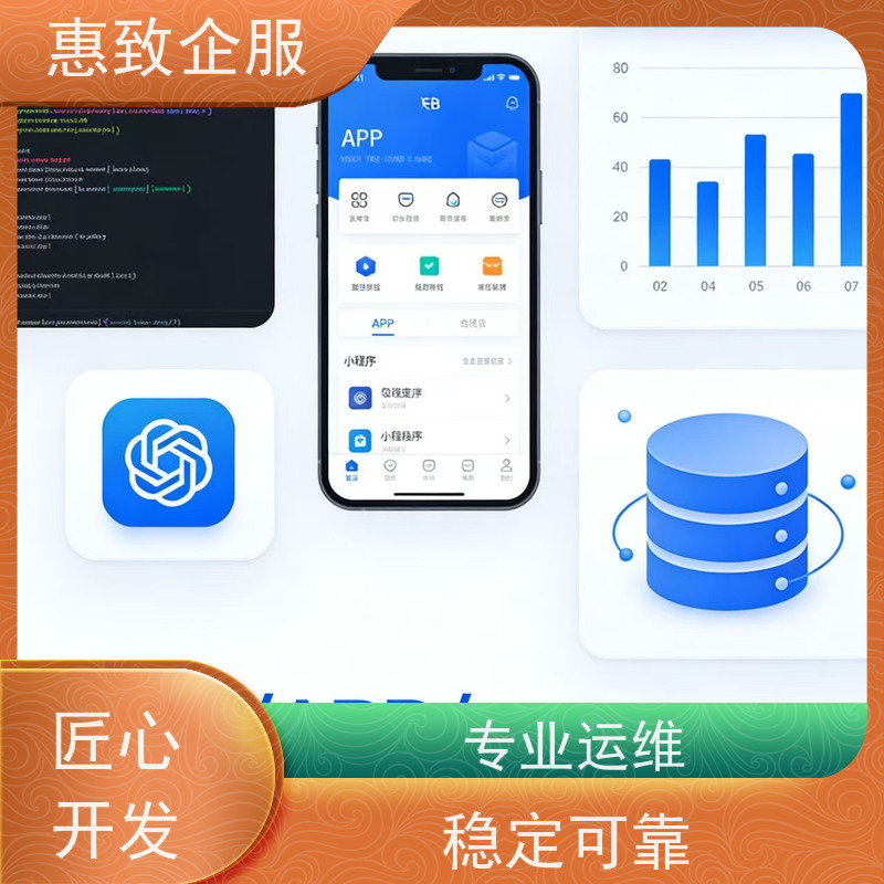小程序定制开发制作 高效解决方案 惠致企服 案例丰富