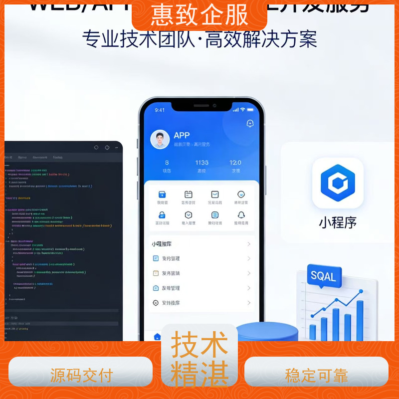 企业级WEB应用开发 系统安全稳定 惠致企服 技术过硬