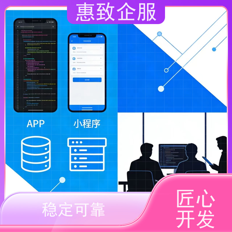 手机APP软件定制开发 高效解决方案 惠致企服 案例丰富