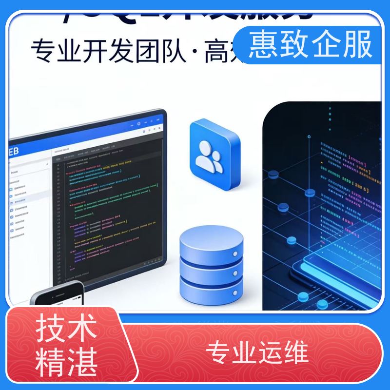 APP定制开发公司 高效解决方案 惠致企服 稳定可靠