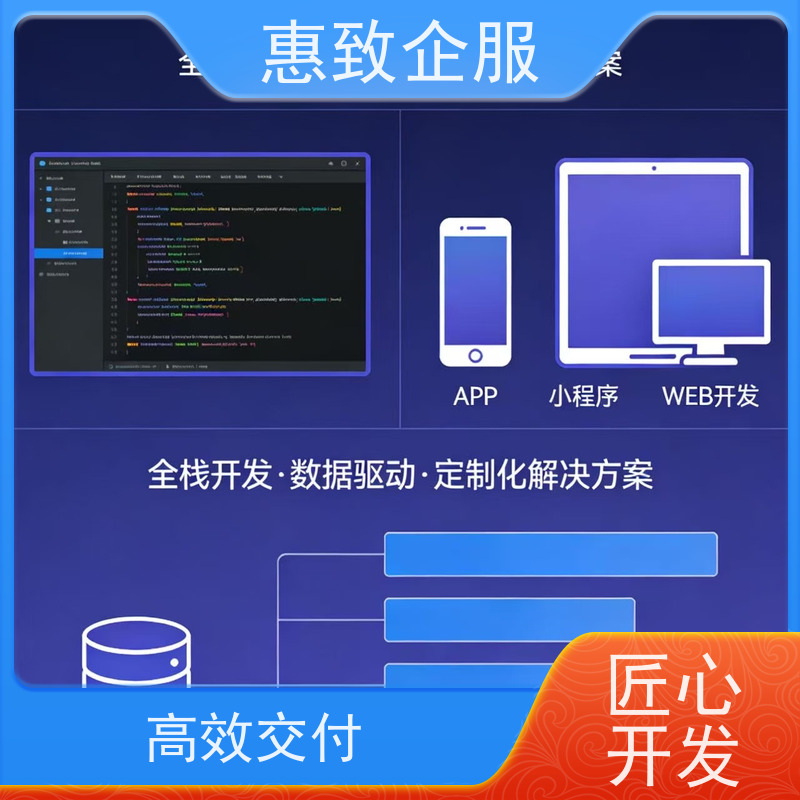 物联网应用软件开发定制 高效解决方案 惠致企服 二十多年经验