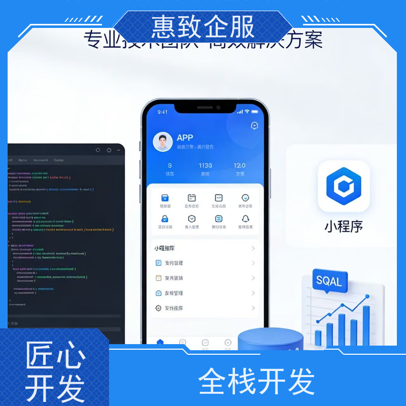 跨平台APP开发定制服务 系统安全稳定 惠致企服 案例丰富