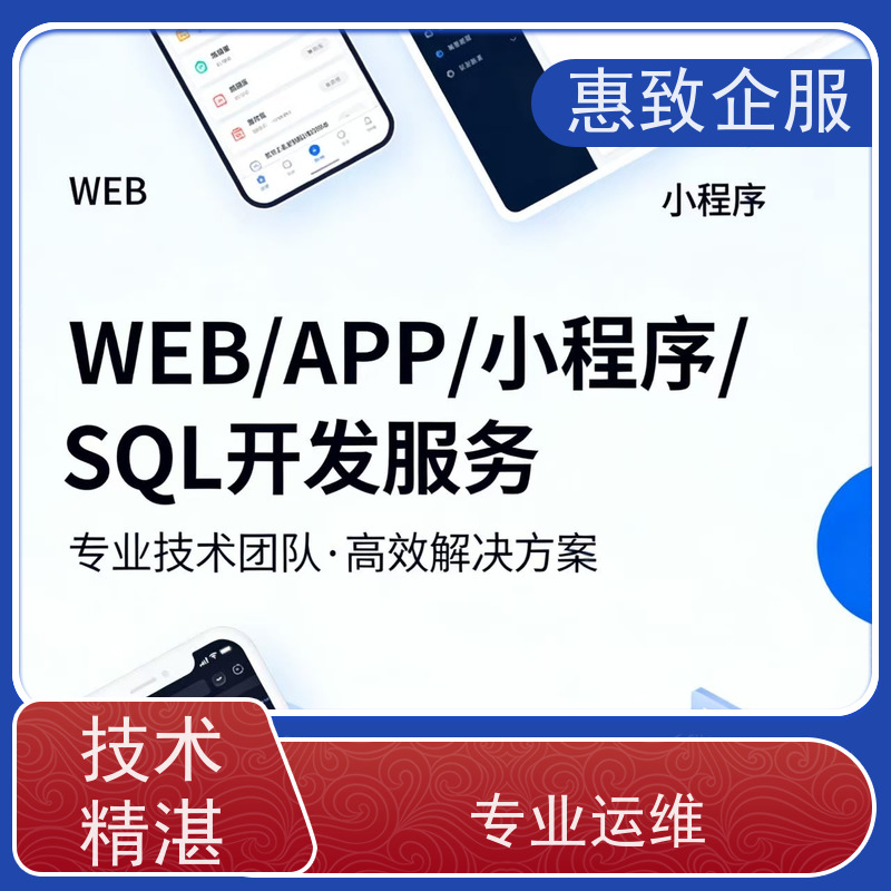 移动应用开发外包服务 助力企业数字化 惠致企服 技术过硬