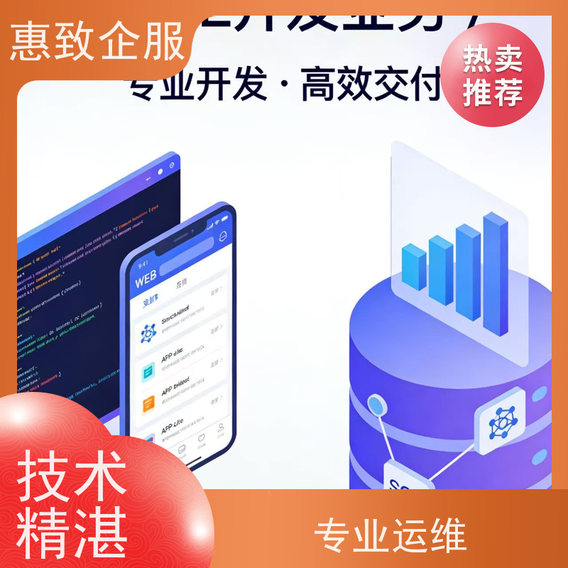 企业级WEB应用开发 高效解决方案 惠致企服 技术过硬