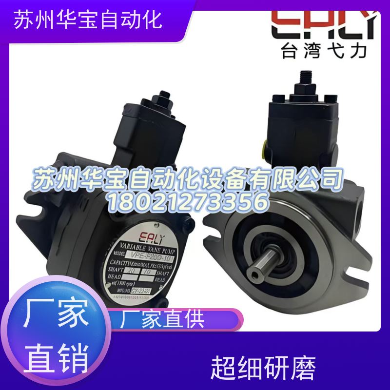 台湾BST油泵 SV22B-125-100-R01-C100
