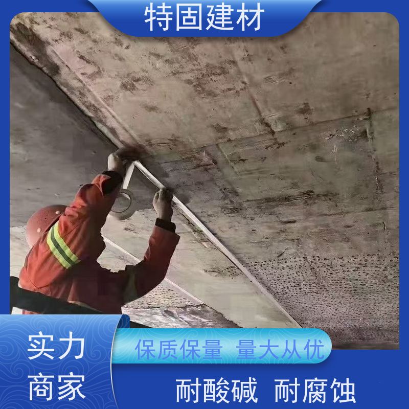 防水防腐砂浆 流动性能强 厂家直供 特固新型建材