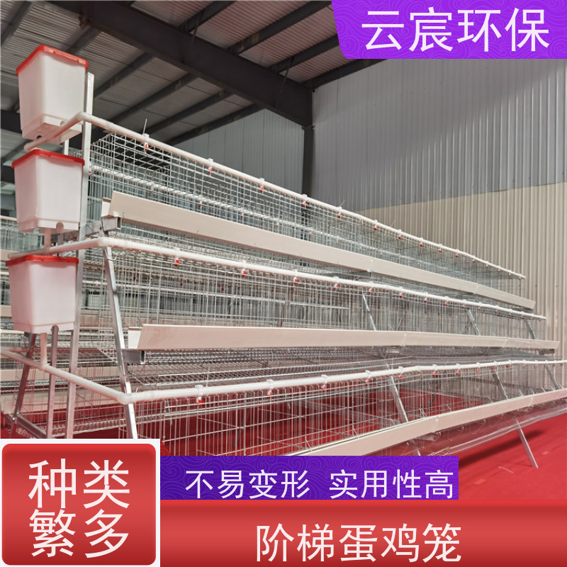 云宸环保 三层五门 镀锌阶梯蛋鸡笼 安装方便 耐腐蚀 承载力好