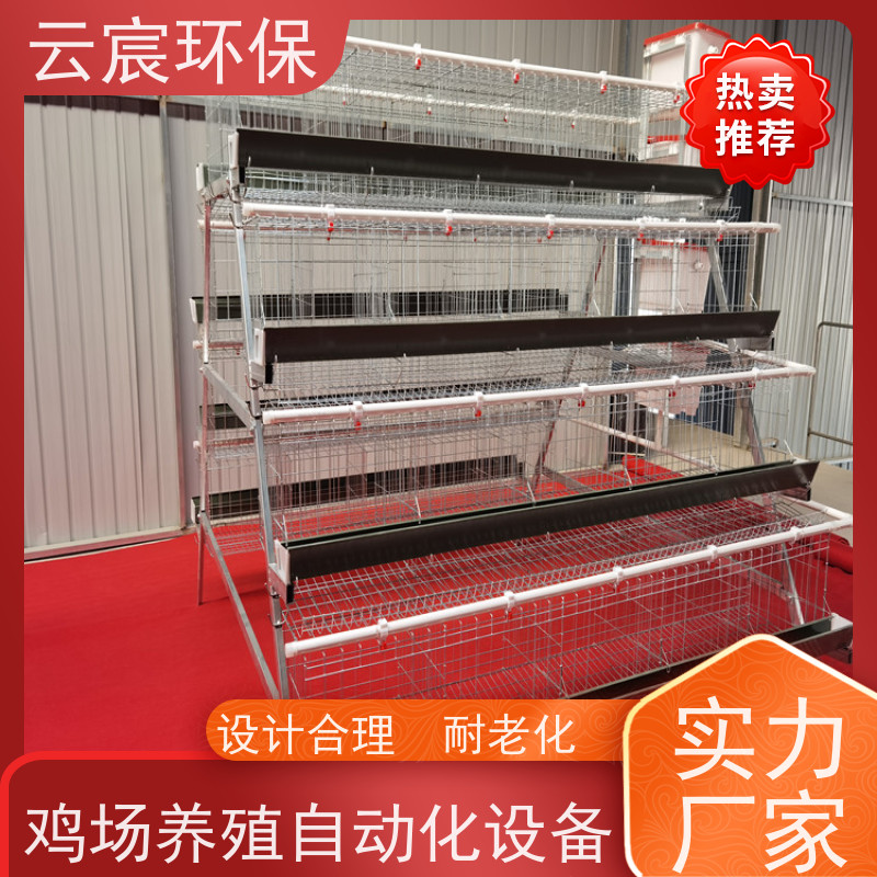 云宸环保 四层五门 阶梯式镀锌养鸡专用笼 安装方便 耐腐蚀 结实耐用