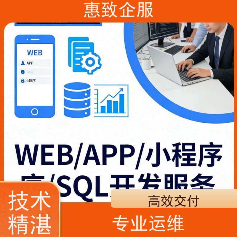 前端网页设计开发制作 助力企业数字化 惠致企服 稳定可靠