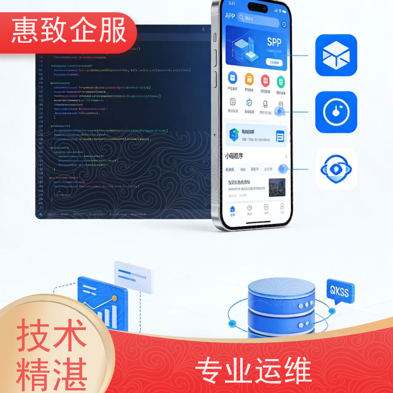 企业级WEB应用开发 系统安全稳定 惠致企服 二十多年经验