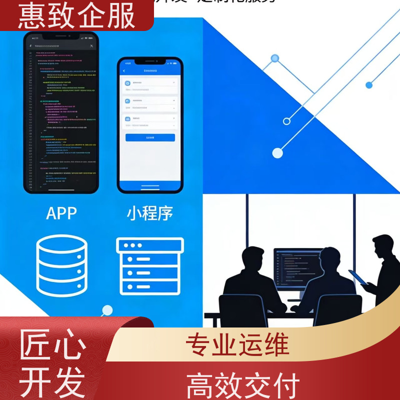 手机APP软件定制开发 系统安全稳定 惠致企服 二十多年经验
