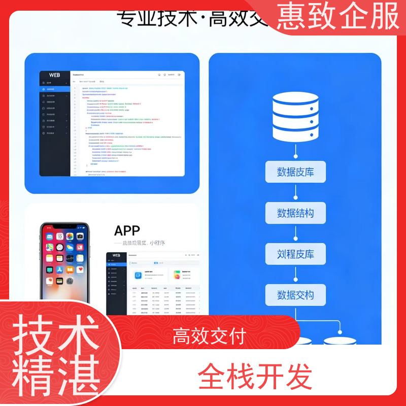 大数据分析软件开发服务 助力企业数字化 惠致企服 技术过硬