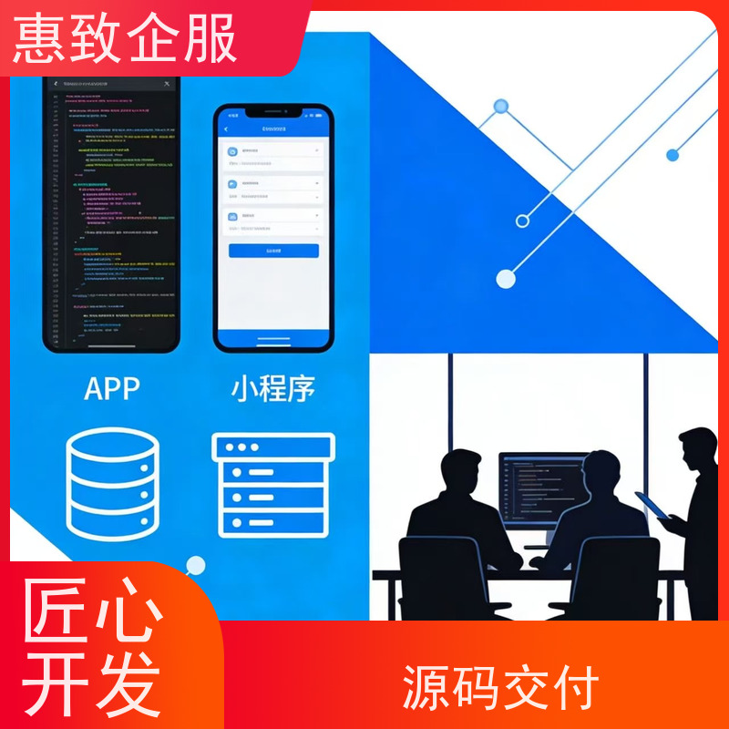 物联网应用软件开发定制 高效解决方案 惠致企服 稳定可靠