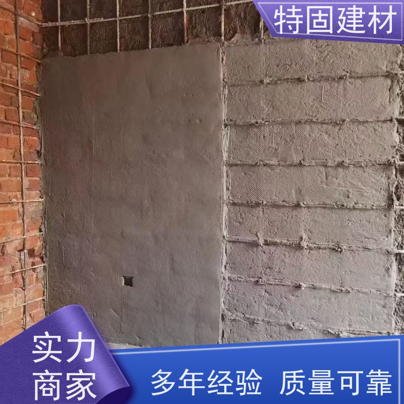 防水防腐砂浆 高强度抗压 免费指导 源头工厂 特固新型建材
