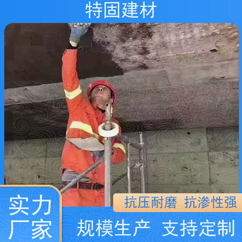 水性环氧树脂砂浆 流动性能强 厂家直供 特固建材