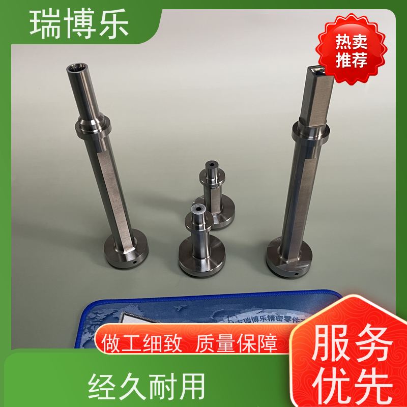 瑞博乐精密 模具镶针镶法 来图来样定制 诚信经营