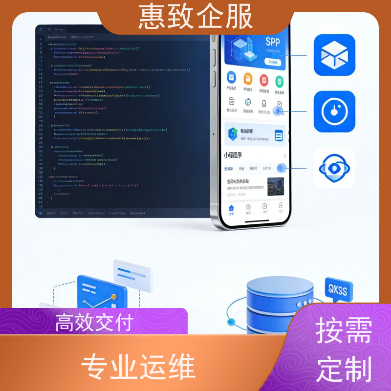 小程序模板定制开发 系统安全稳定 惠致企服 二十多年经验