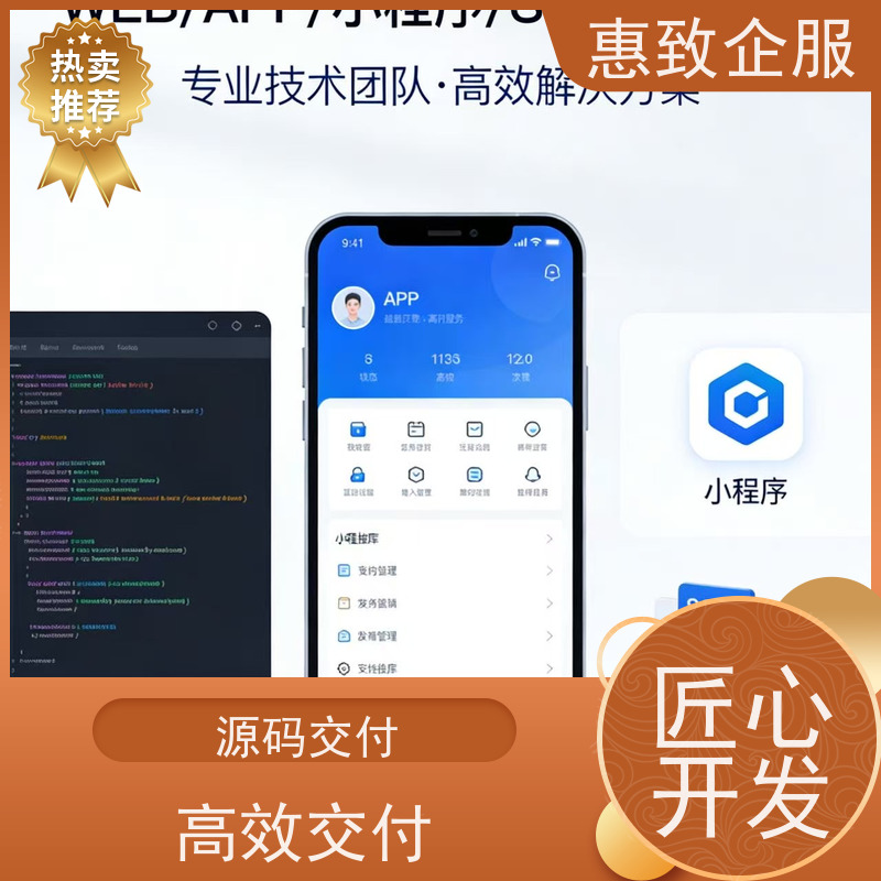 人工智能应用软件开发 一站式定制服务 惠致企服 二十多年经验