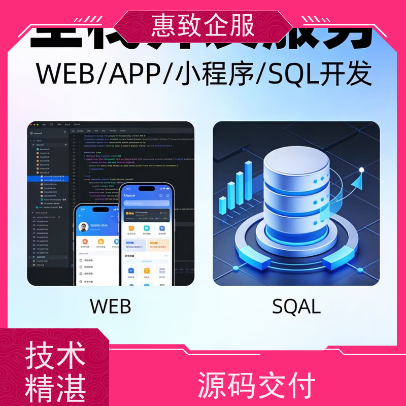 软件定制开发解决方案 系统安全稳定 惠致企服 二十多年经验