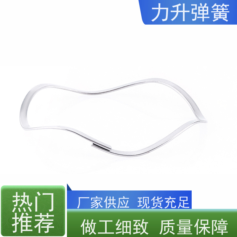 电机波形弹簧 创新设计 节省轴向空间 规格齐全 厂家直供 力升