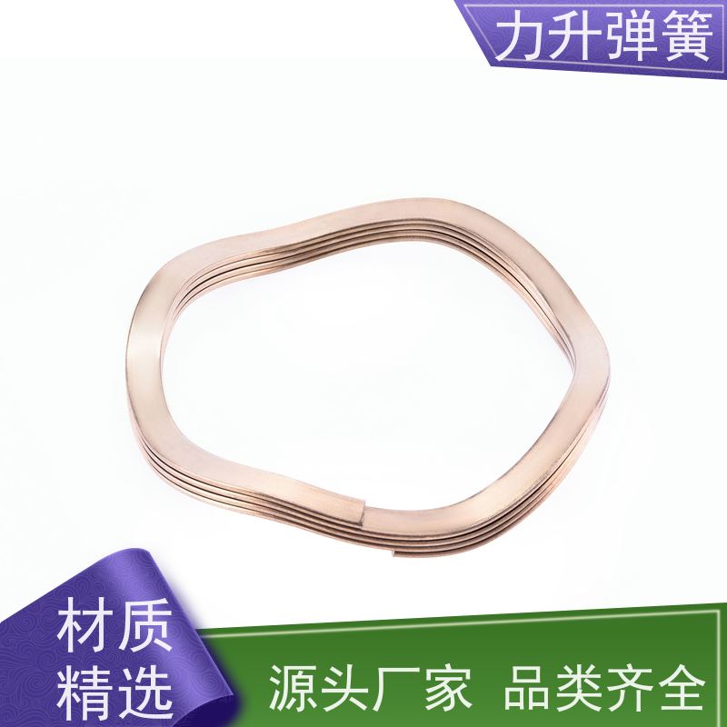 波形挡圈 精密制造 品控严格 非标定制 快速响应 力升