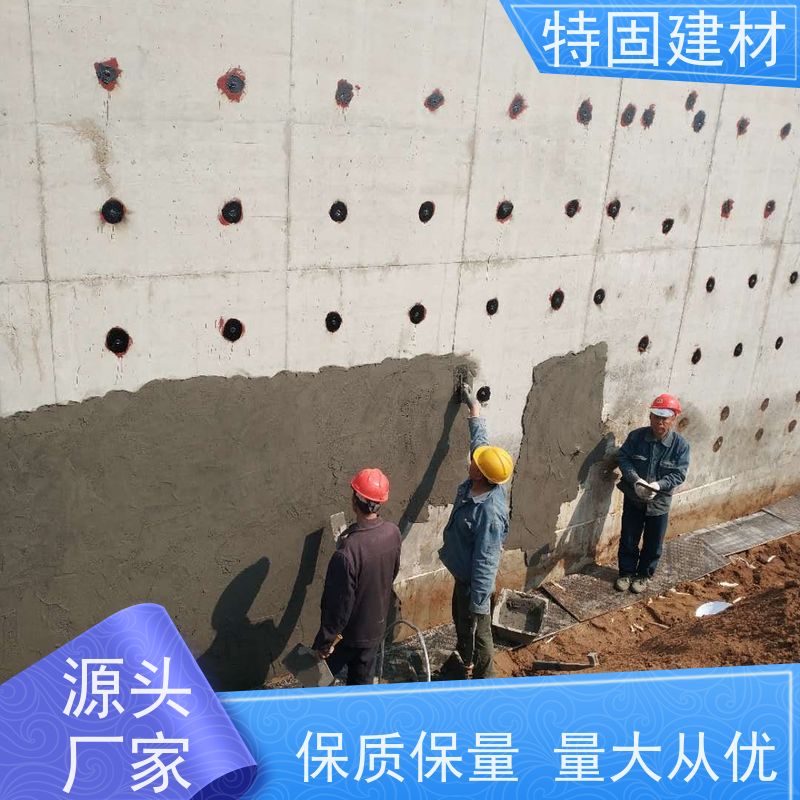 环氧树脂砂浆 墙面修补加固 产地货源 常年供应 特固新型建材