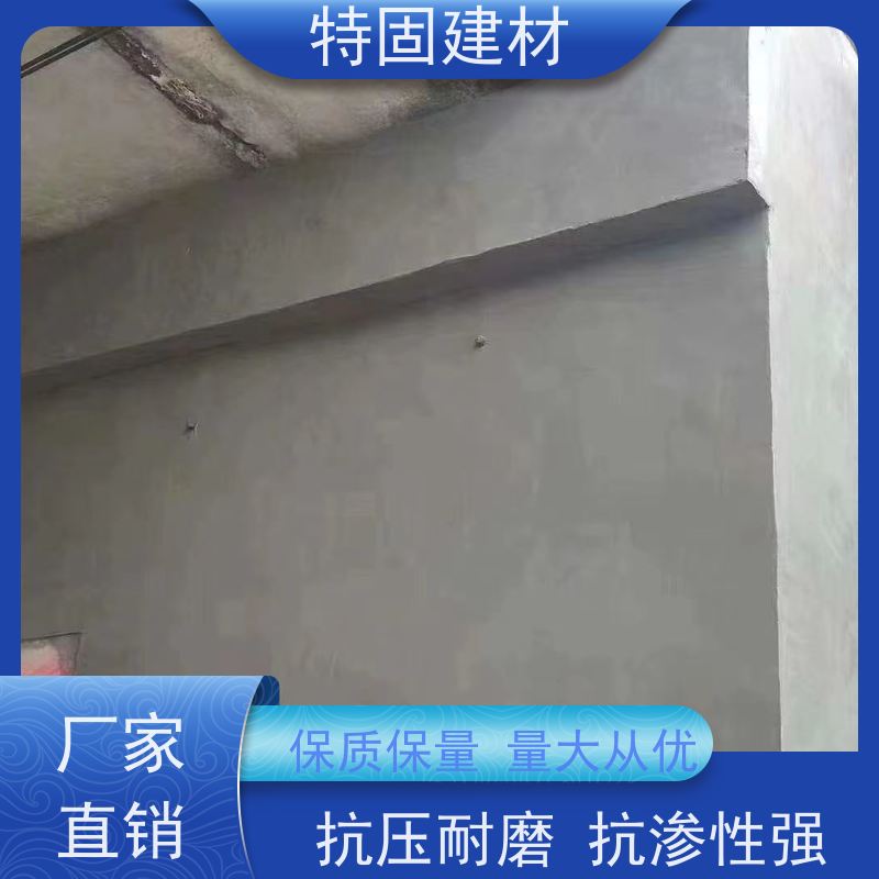 水性环氧树脂砂浆 墙面修补加固 生产周期短 特固建材