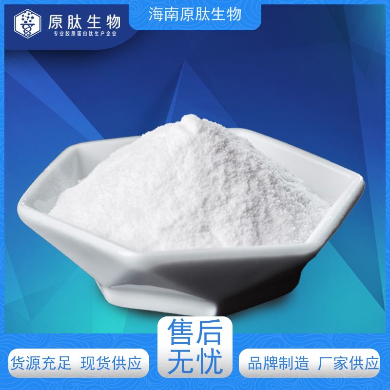 生物 食品级原料 Ⅱ型胶原蛋白肽 无异味 源头厂家
