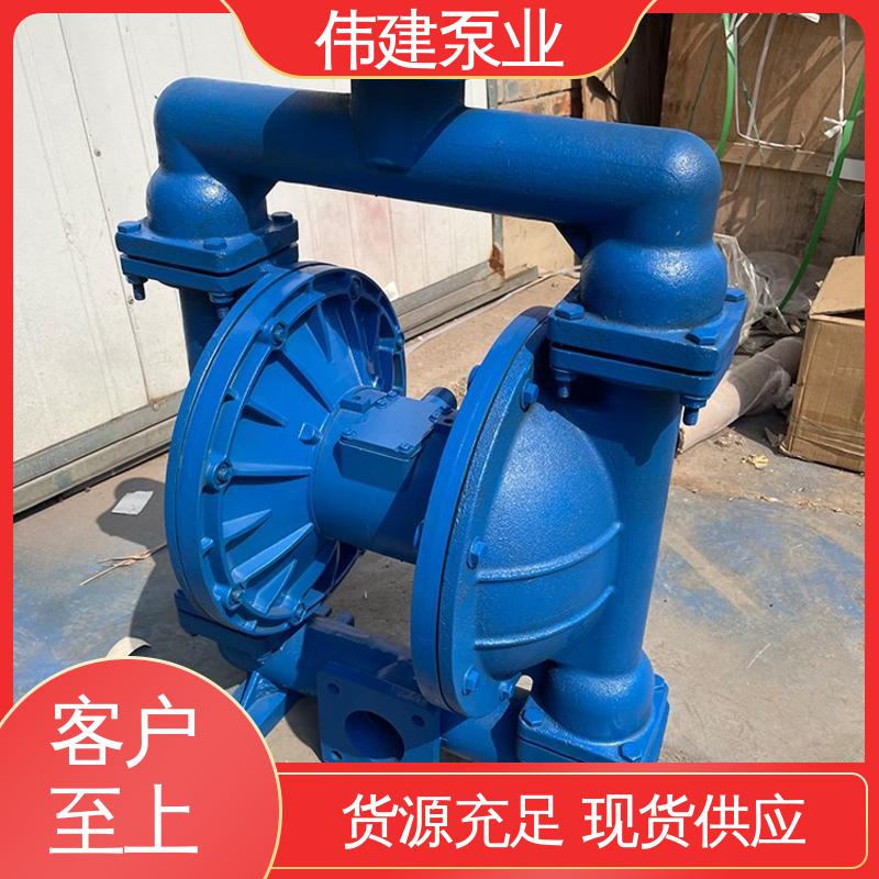 伟建供应 LC50皮带轮罗茨泵 规格齐全 耐高温300度