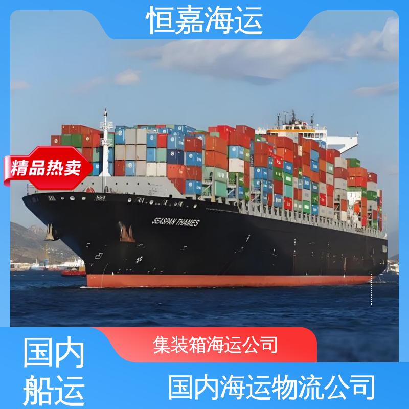 恒嘉海运 张家港 国内集装箱门到门 自备柜调运