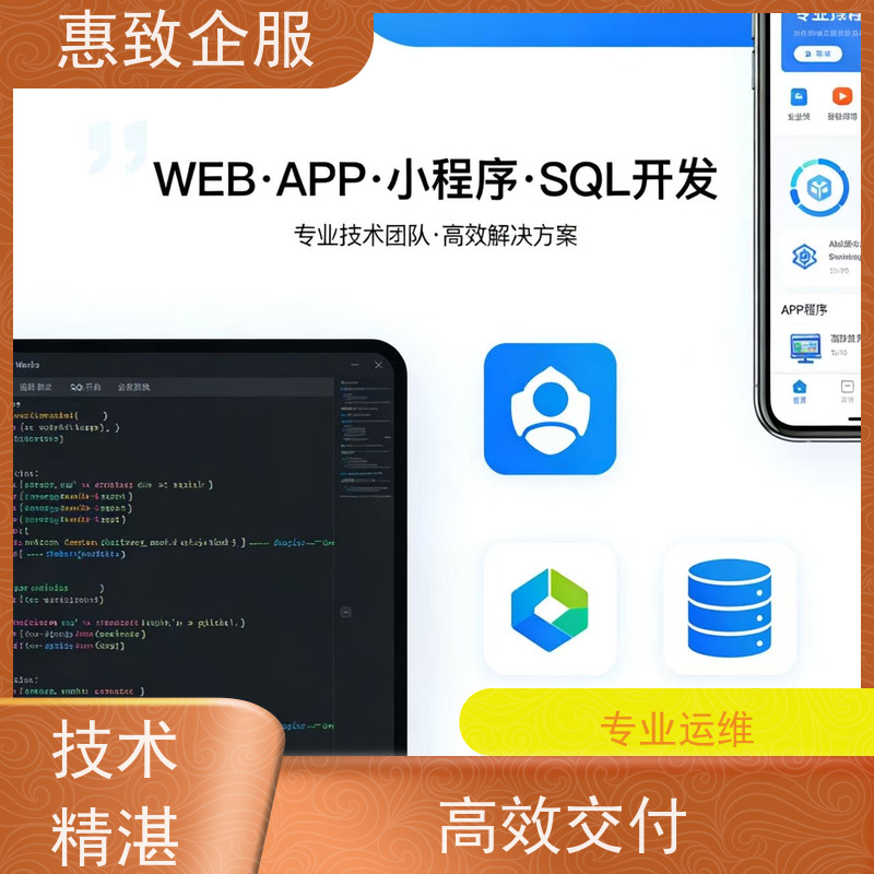 企业级WEB应用开发 一站式定制服务 惠致企服 稳定可靠