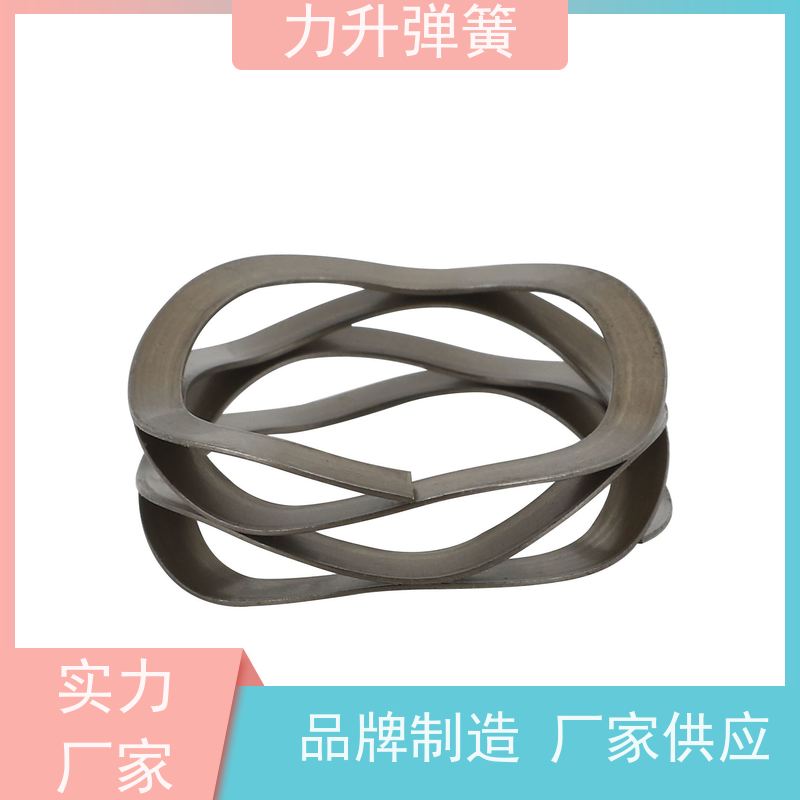 电机波形弹簧 创新设计 节省轴向空间 大量库存 快速发货 力升