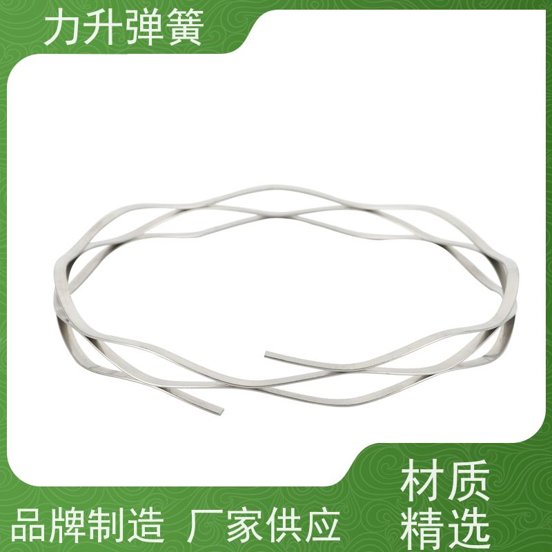 机械密封波簧 创新设计 节省轴向空间 规格齐全 厂家直供 力升