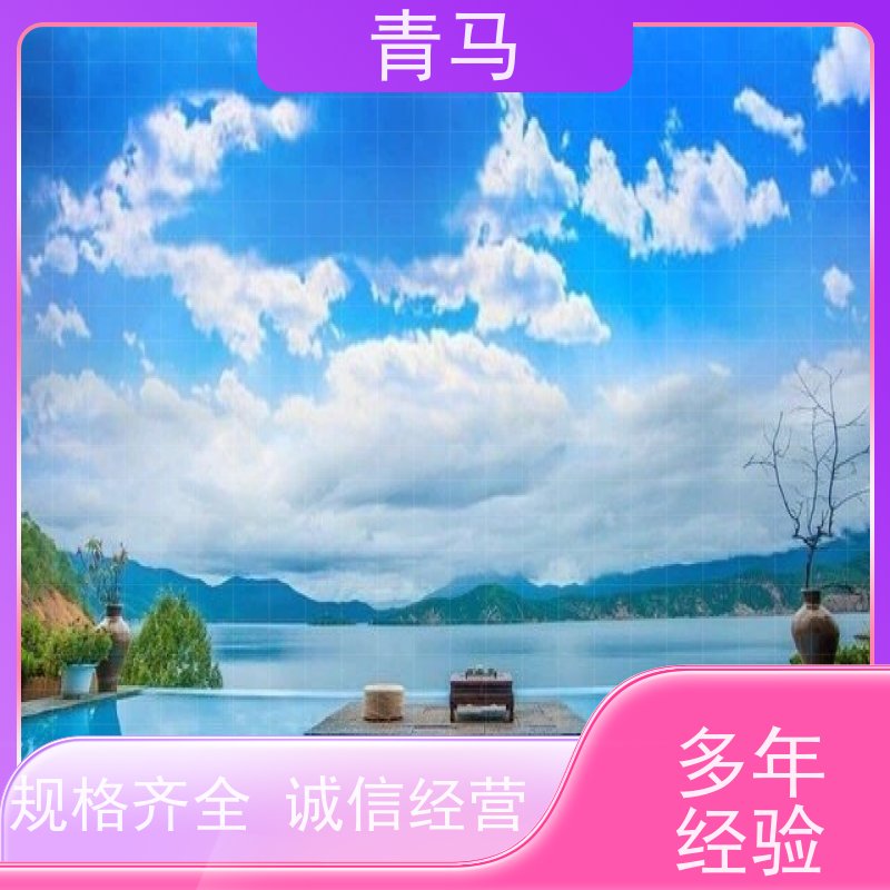 青马 私家泳池 适用于星级酒店 现代简约 多种颜色