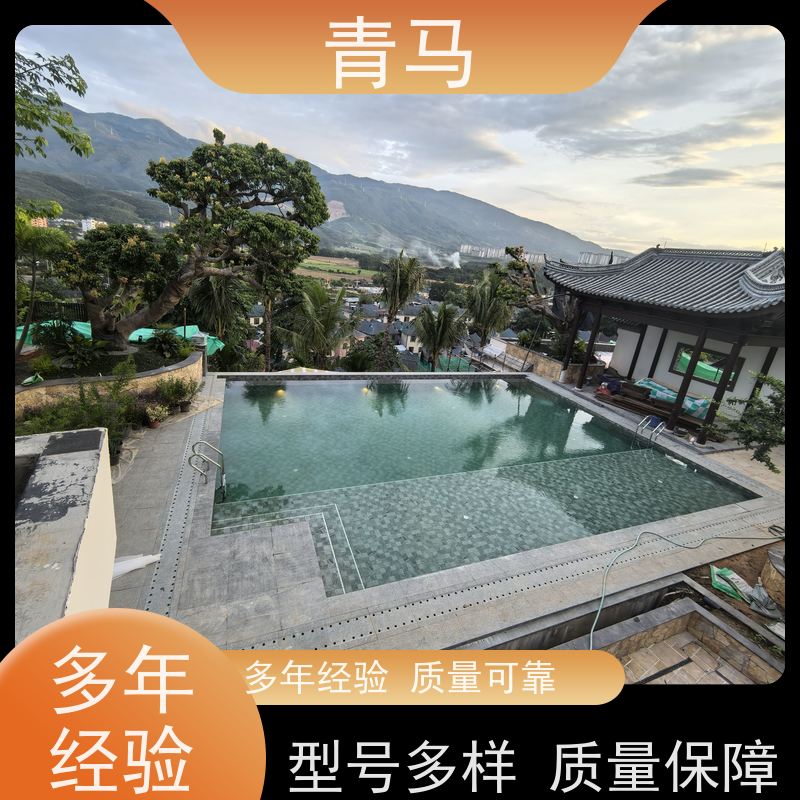 青马 学校泳池 适用于体育馆 设计 施工 维护 一站式服务