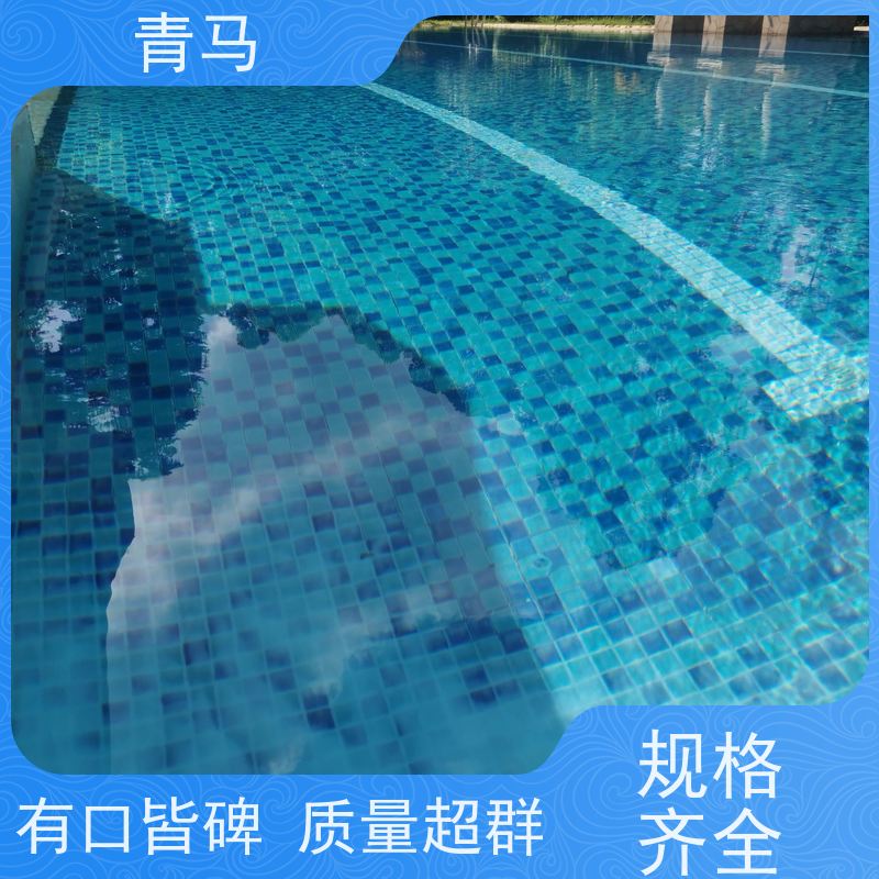 青马 水上乐园泳池 适用于健身俱乐部 按需定制 免费测量