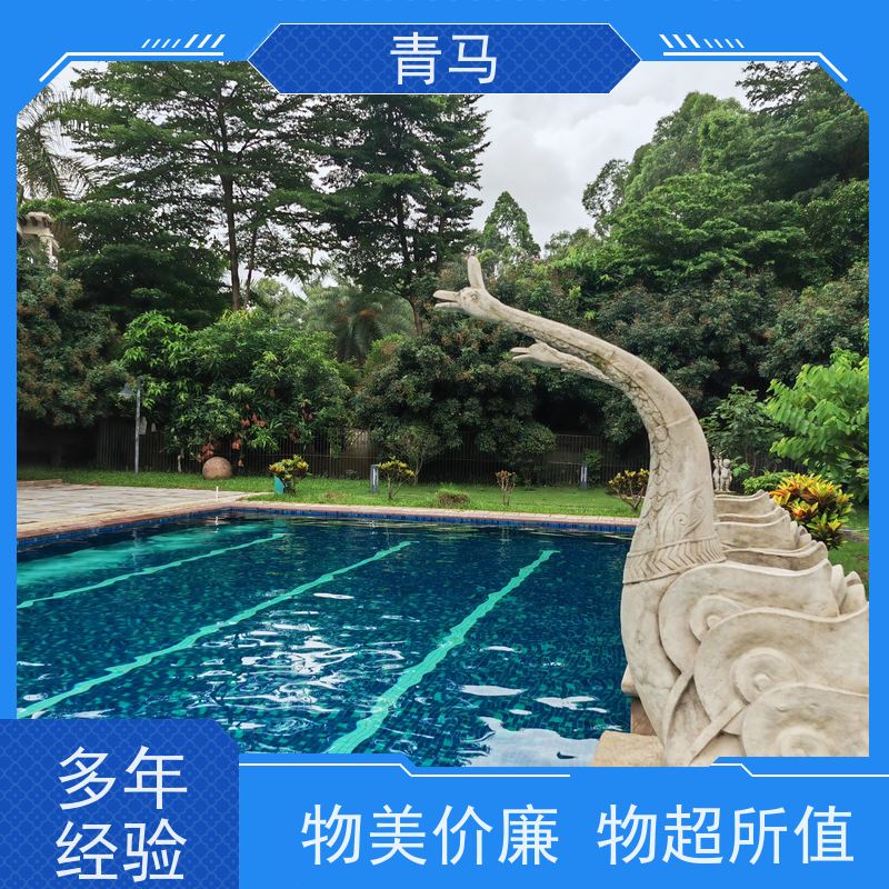 青马 露天游泳池 适用于健身俱乐部 按需定制 免费测量