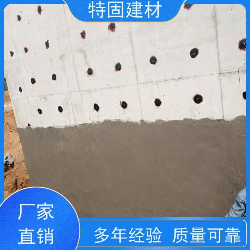防水防腐砂浆 流动性能强 长期生产供应 特固建材