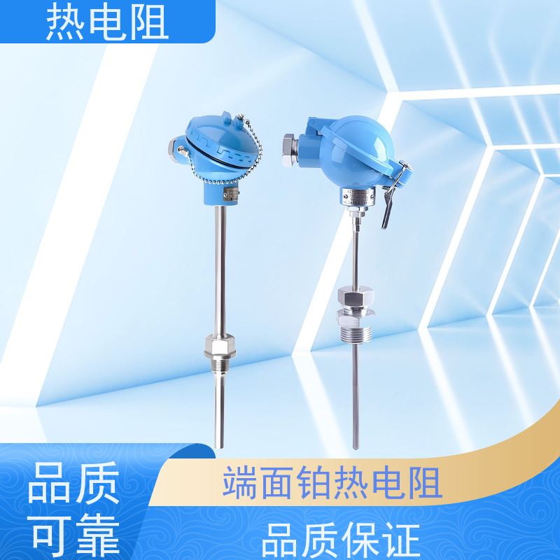 天康 铜热电阻 启动扭矩56698Nm 品牌厂家 性能稳定
