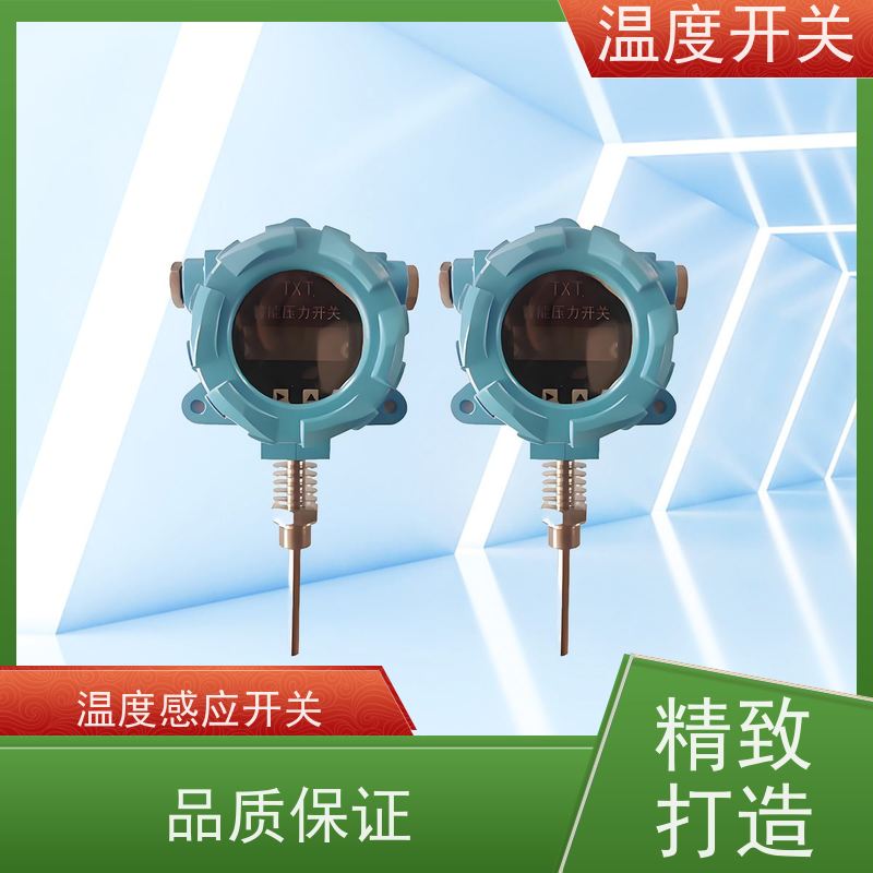 天康 温度保护开关 过载电流16A 批发 工厂制造 做工细致