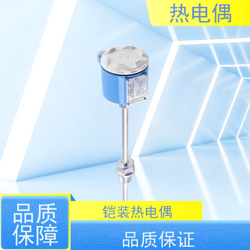 天康 D 多点热电偶 允差等级 ±1.0 厂家制造 经久耐用