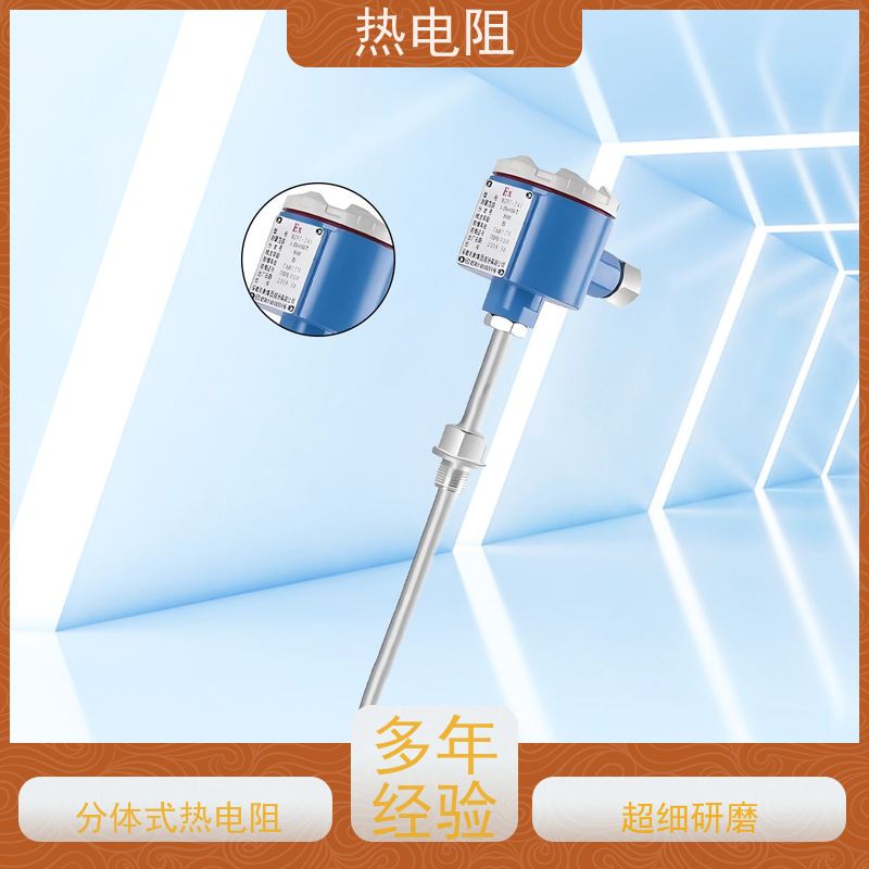 天康 双支热电阻 启动扭矩56698Nm 品牌厂家 性能稳定