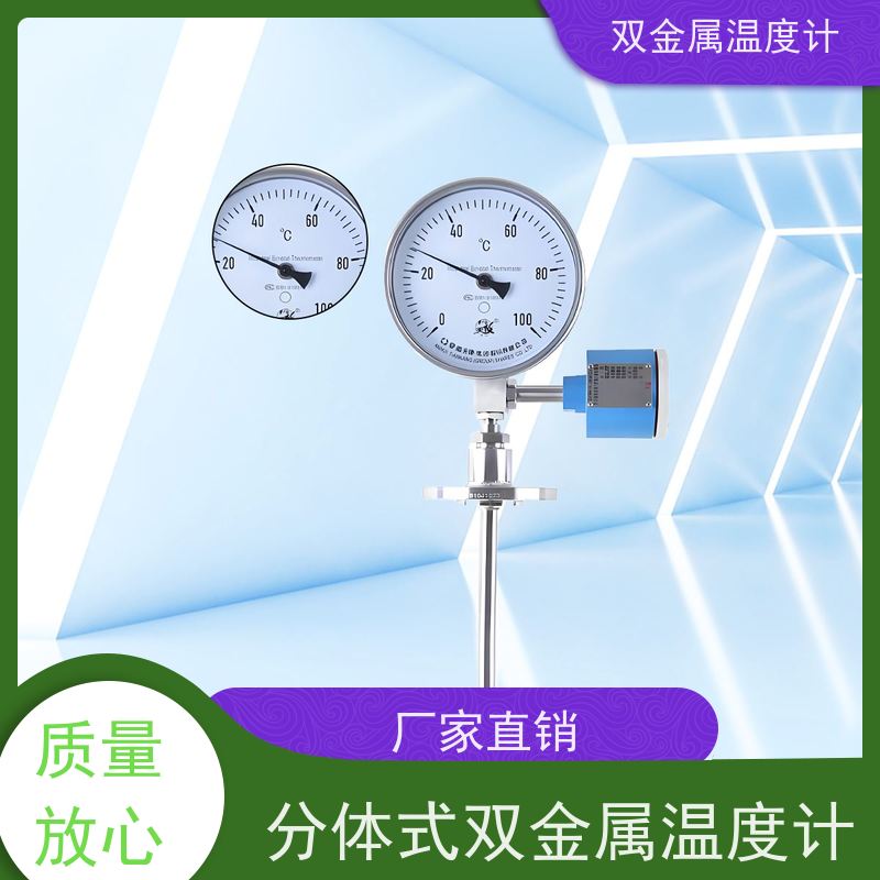 天康 双金双金属温度计 指针显示 厂家供应 货源充足