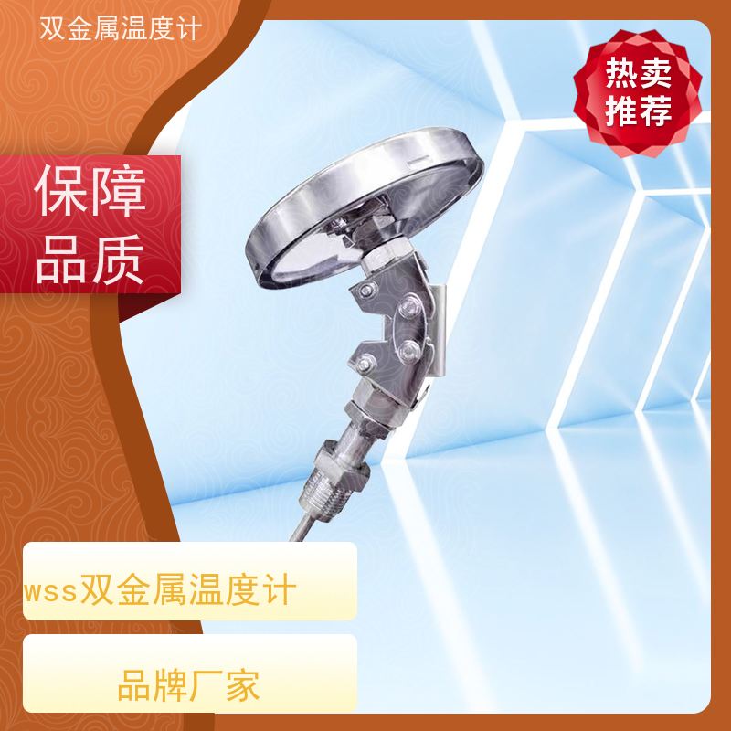 天康 wss型双金属温度计 指针显示 厂家供应 货源充足