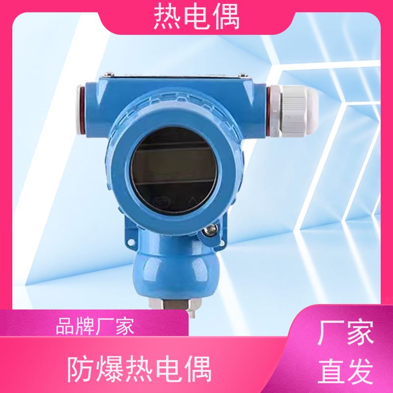 天康 快速微型热电偶 热响应时间 1（s） 厂家制造 经久耐用