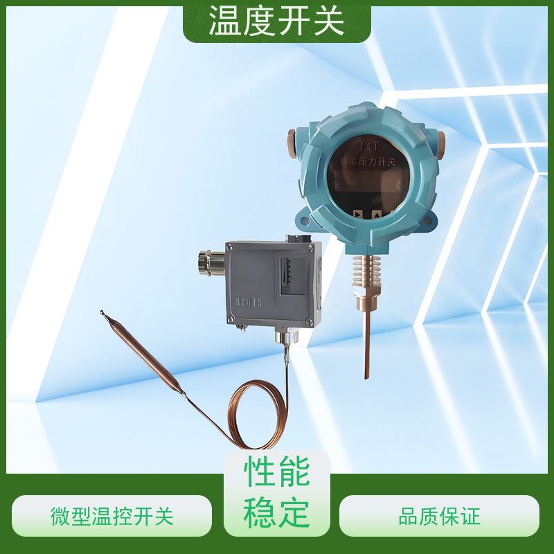 天康 突跳动式温控开关 过载电流16A 批发 工厂制造 做工细致