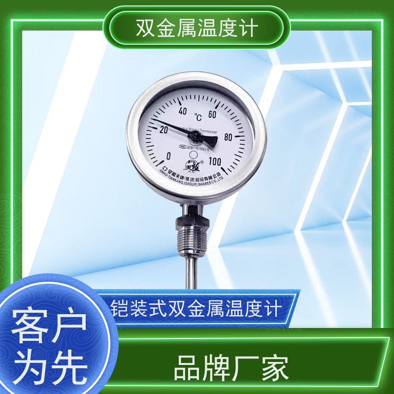 天康 径向双金属温度计 指针显示 厂家供应 货源充足
