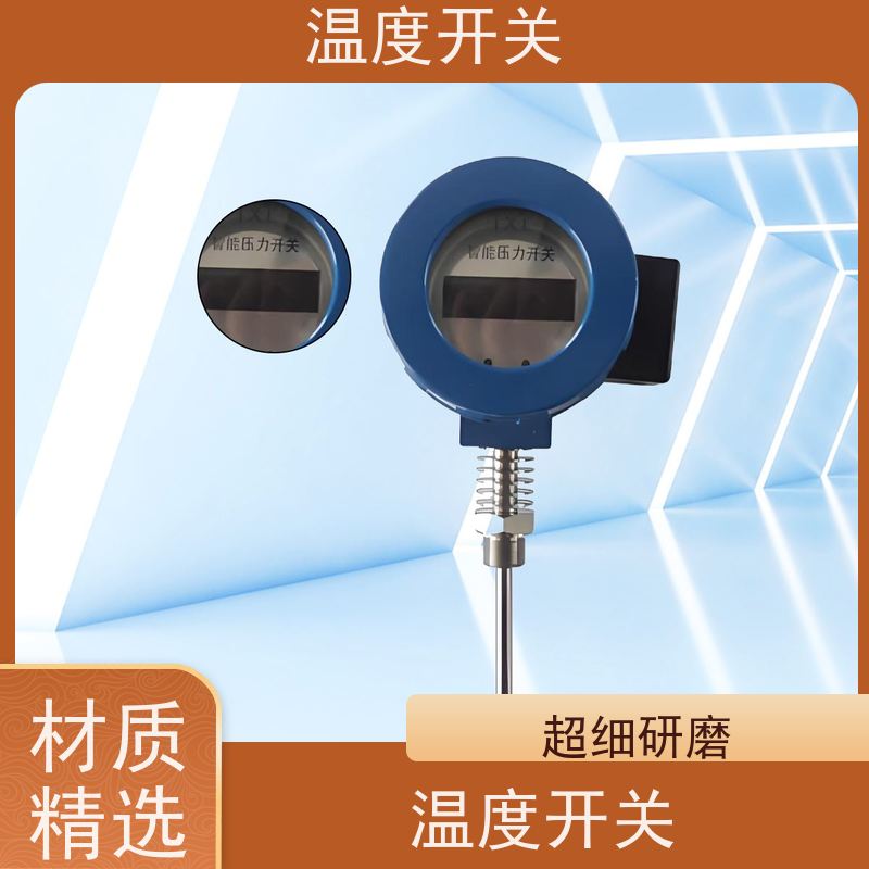 天康 小家电温控开关 过载电流16A 批发 工厂制造 做工细致