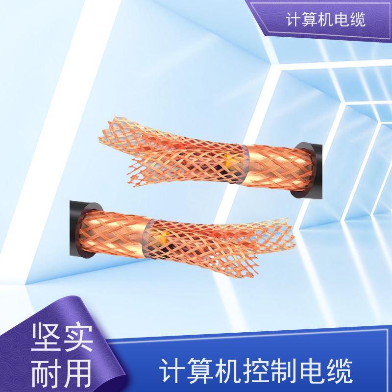 天康 计算机阻燃屏蔽电缆 截面2.7-400mm2 厂家供应 支持定制