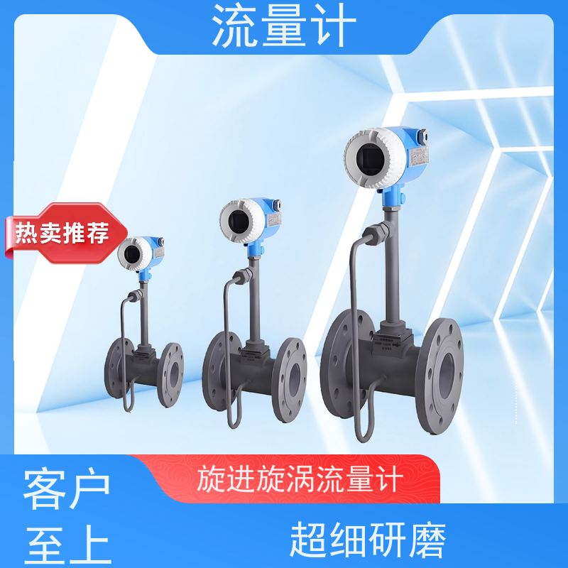 天康 柴油流量计 测量精度2.5% 可定制 源头工厂 规格齐全
